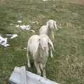 Rofan 2006-05-25-26_14_arc.JPG