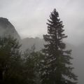 2011-07-30 9.25.32.jpg