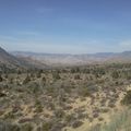 CameraZOOM-20120311135349541.jpg