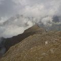 2012-08-04 08.33.56.jpg