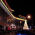 SANY0011.JPG