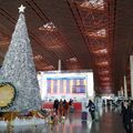 IMG_20150106_113940.jpg