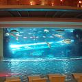 20151028_185123.jpg