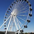 IMG_20200816_171207.jpg