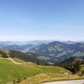 IMG_20200914_132354.jpg